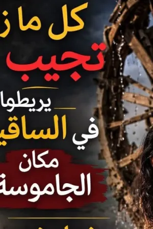 رواية الماضي الاليم بقلم جيجي - غلاف الرواية