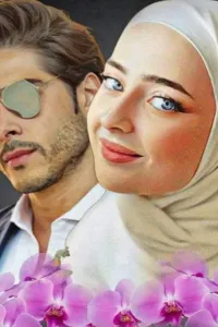 اوركيديا