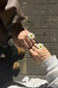 هناك قلب تائه
