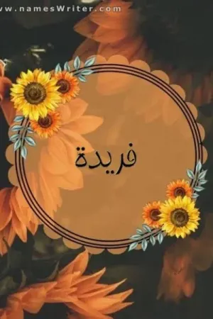 رواية قصه فريده بقلم يمني امجد - غلاف الرواية
