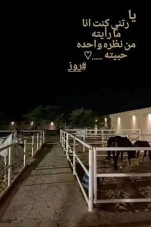 رواية من نظره واحده حبيته بقلم فيروزة - غلاف الرواية