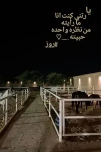 من نظره واحده حبيته