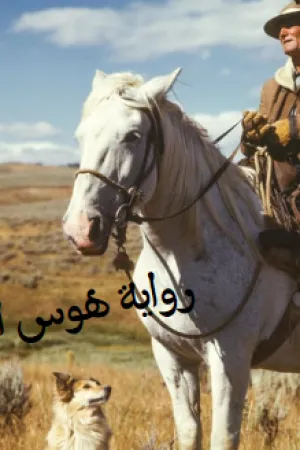 رواية هوس اربعيني بقلم نورة عبد الرحمن - غلاف الرواية