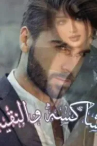 المشاكسة و النقيب