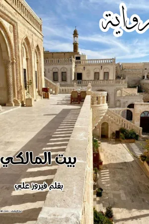 رواية اخوات زوجتي بقلم مني عبدالعزيز - غلاف الرواية