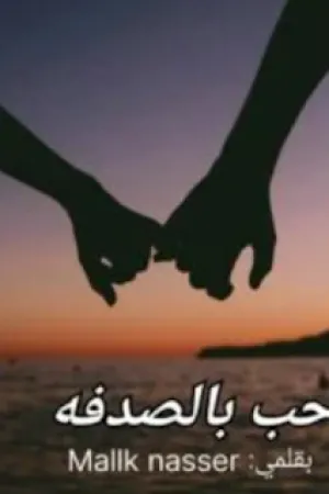 رواية حب بالصدفة بقلم ملك ناصر ناصر - غلاف الرواية
