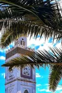 لطف القدر