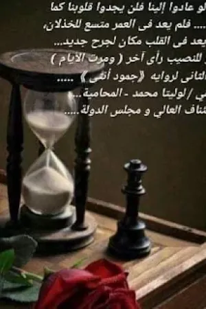 رواية و للنصيب رأي أخر بقلم لوليتا محمد - غلاف الرواية