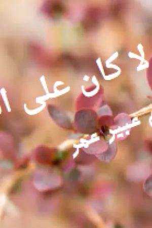 رواية ولا كان على البال بقلم عبير عمر - غلاف الرواية