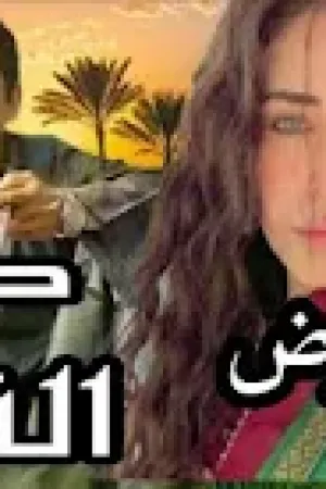 رواية صراع القاسم بقلم سلوى عوض - غلاف الرواية