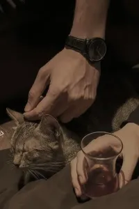 سلاف