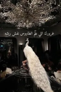 غرورك اللي علم الطاووس نفش ريشه