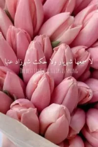 لا سمعها شهريار ولا حَكت شهرزاد عنها