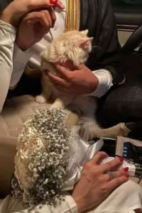 قلبي بينادي باسمك