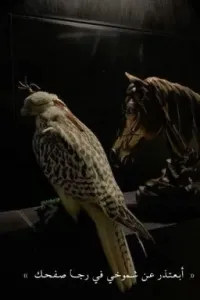 أبـعـتـذر عـن شـموخي فـي رجـا صـفـحـك
