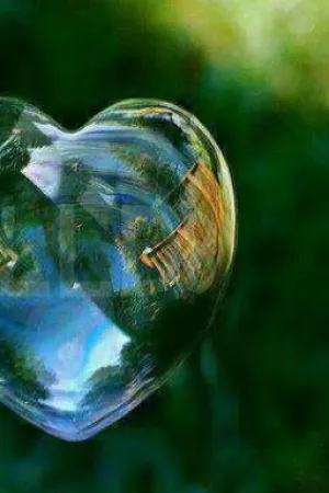 رواية التقيتك غريبة وودعتك حبيبة الموسم الأول /للكاتبة:شهد الراشدي /مكتملة💕❤️ بقلم Somemon11 - غلاف الرواية